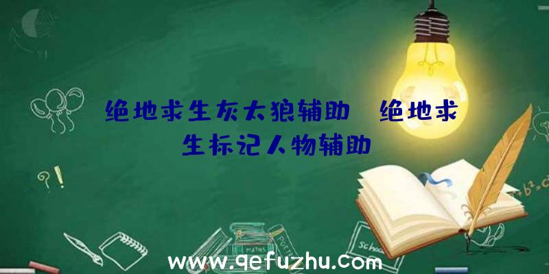「绝地求生灰太狼辅助」|绝地求生标记人物辅助